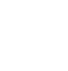 Fraud & Risk Intelligence