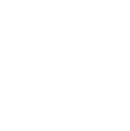 Advanced Boosting Techniques Advanced Boosting Techniques